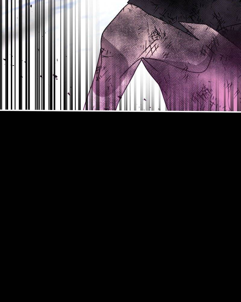 Lữ Khách Trên Mây - Chương 51 - Trang 5