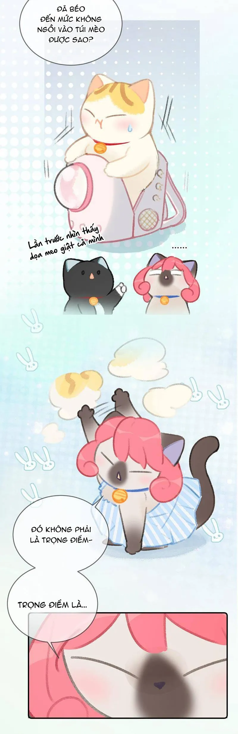 Lục Lạc Mèo - Chương 22 - Trang 4