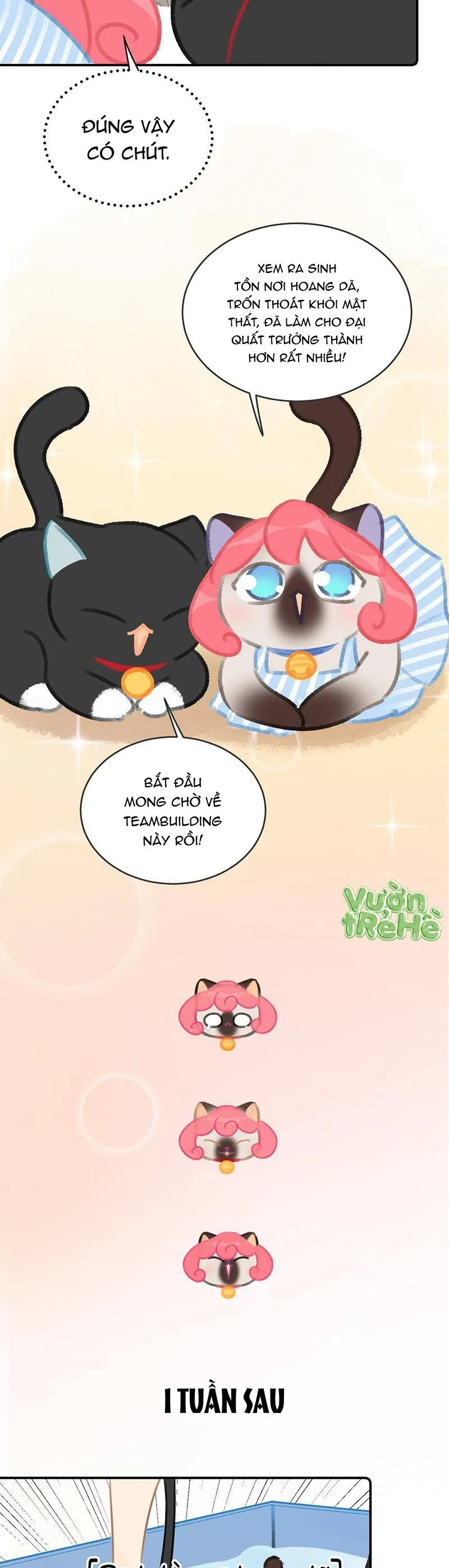 Lục Lạc Mèo - Chương 22 - Trang 9