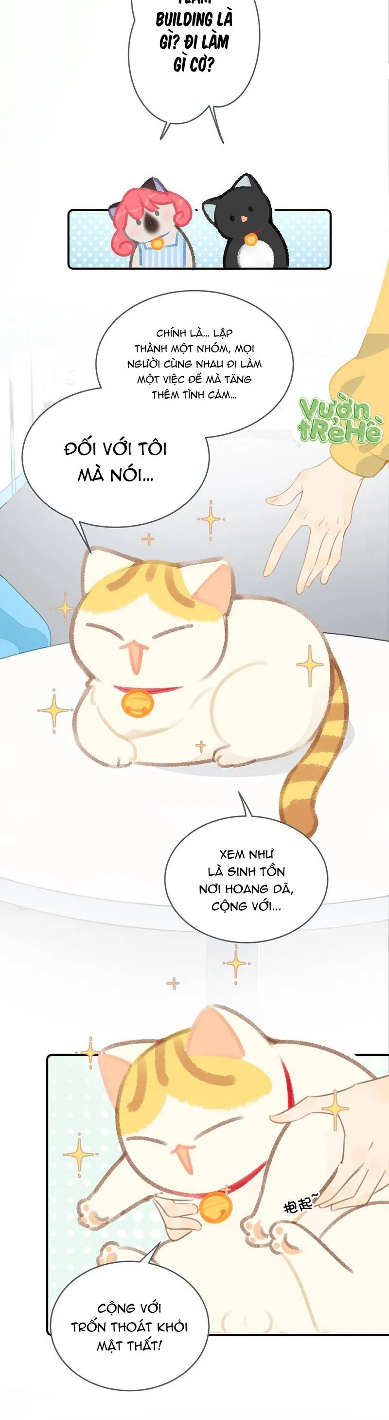 Lục Lạc Mèo - Chương 22 - Trang 7