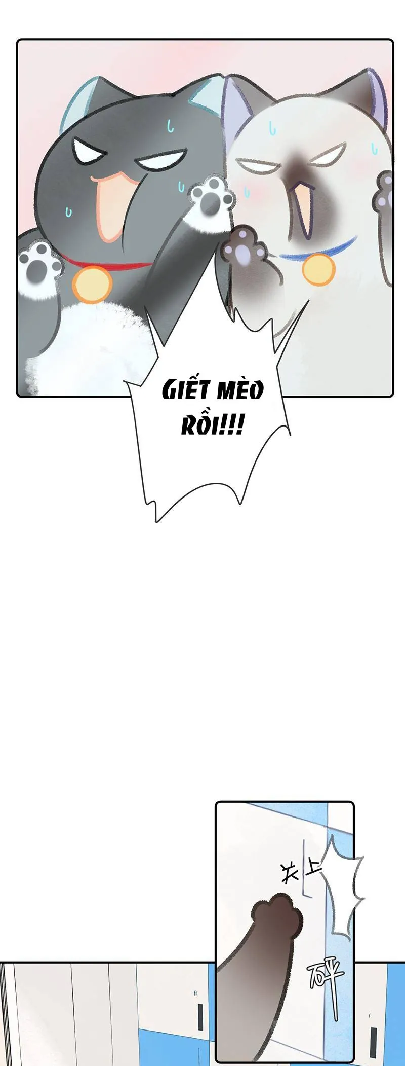 Lục Lạc Mèo - Chương 22 - Trang 11