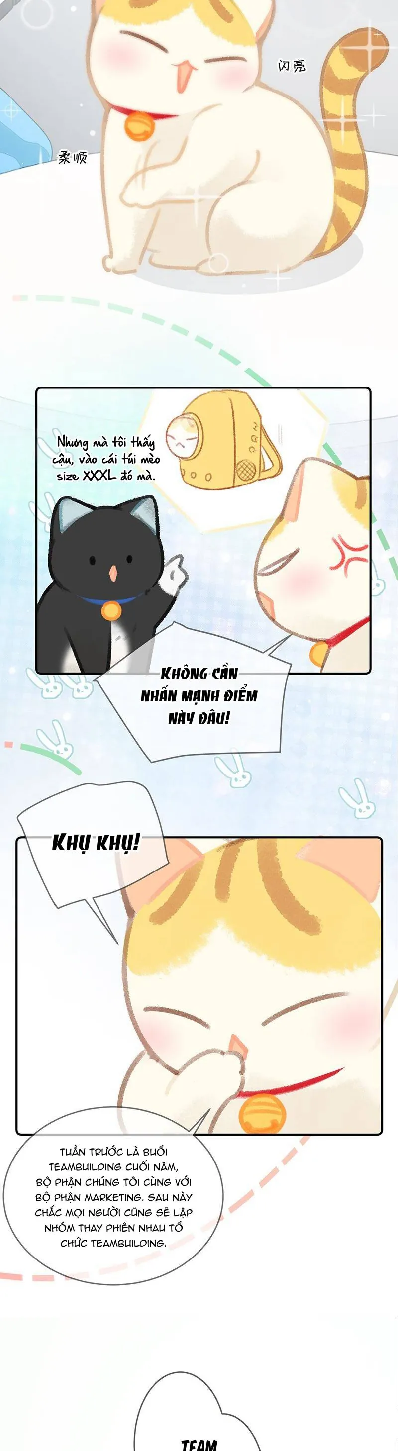 Lục Lạc Mèo - Chương 22 - Trang 6