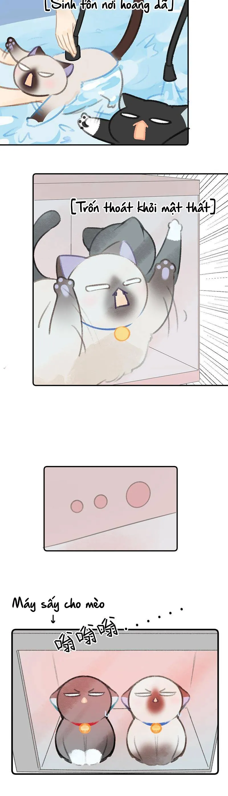 Lục Lạc Mèo - Chương 22 - Trang 10