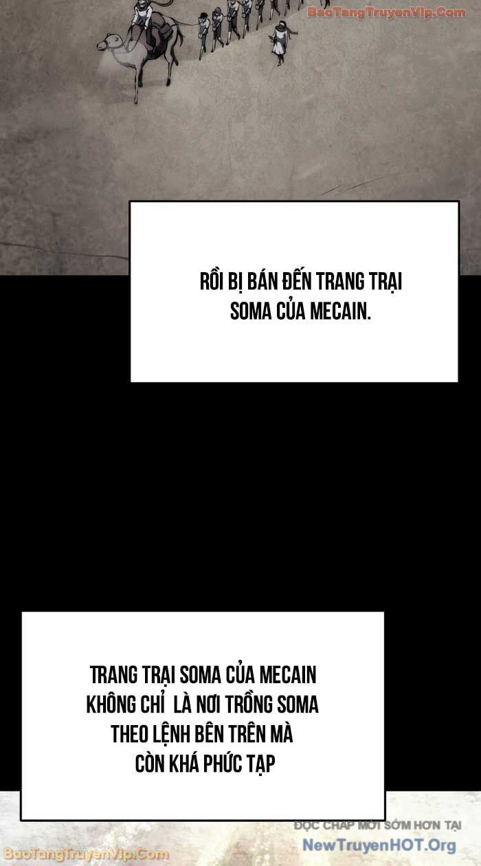Sát Long Nhân Hồi Quy Siêu Việt - Chương 53 - Trang 62