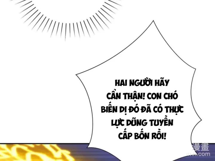 Dị Năng Trùng Sinh Ta Sớm Ở Đỉnh Cao