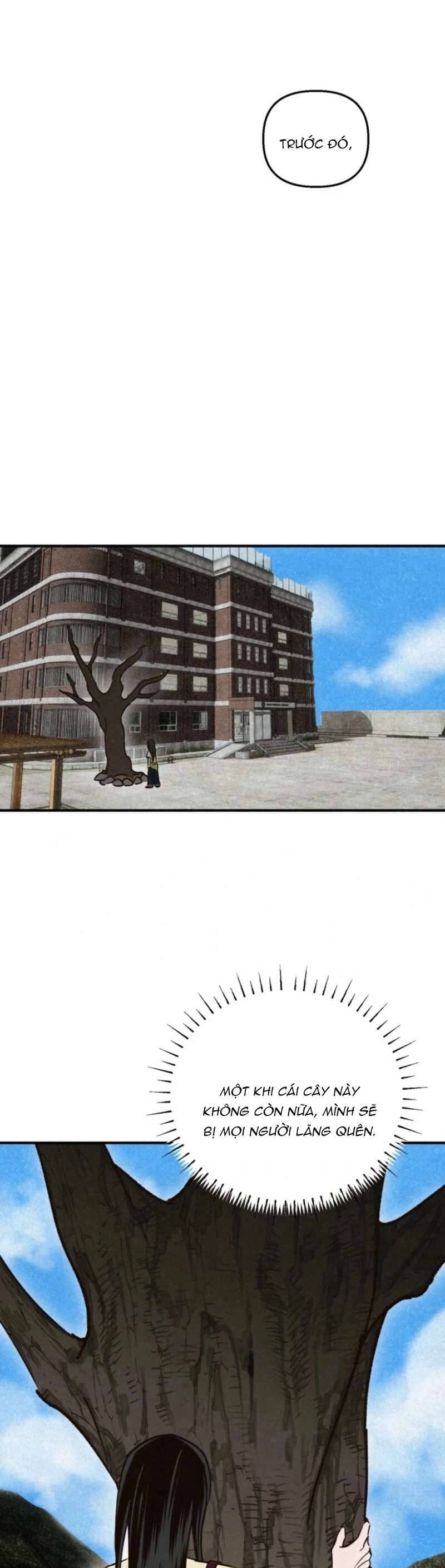 Mùa Hè Bị Nuốt Chửng Bởi Bóng Tối - Chương 19 - Trang 38