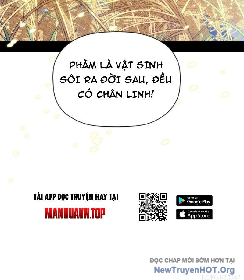 Đỉnh Cấp Khí Vận Lặng Lẽ Tu Luyện Ngàn Năm - Chương 272 - Trang 51