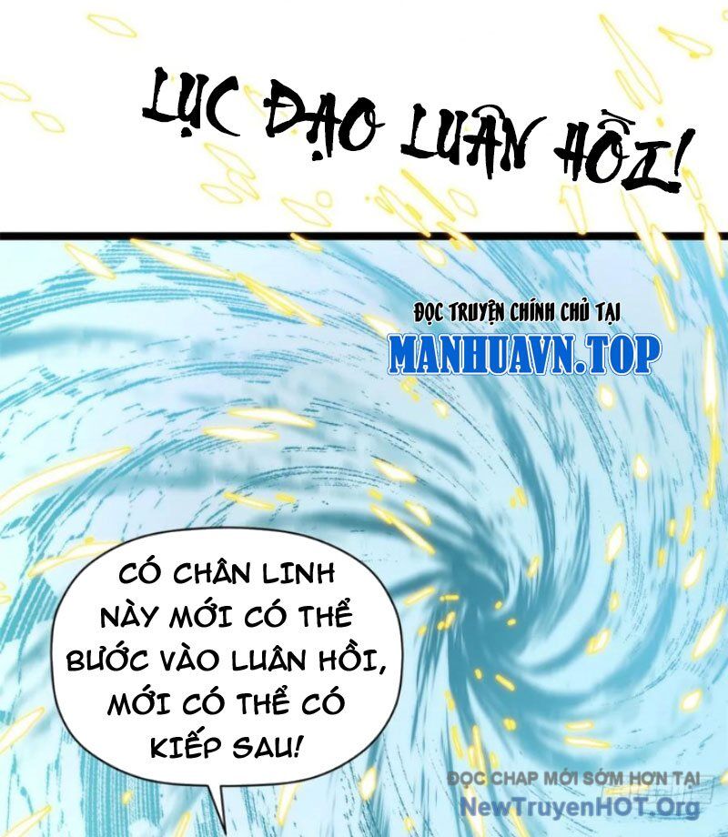 Đỉnh Cấp Khí Vận Lặng Lẽ Tu Luyện Ngàn Năm - Chương 272 - Trang 54
