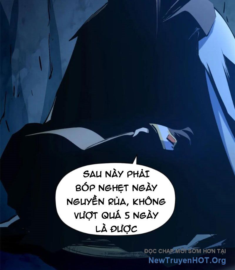 Đỉnh Cấp Khí Vận Lặng Lẽ Tu Luyện Ngàn Năm - Chương 272 - Trang 14
