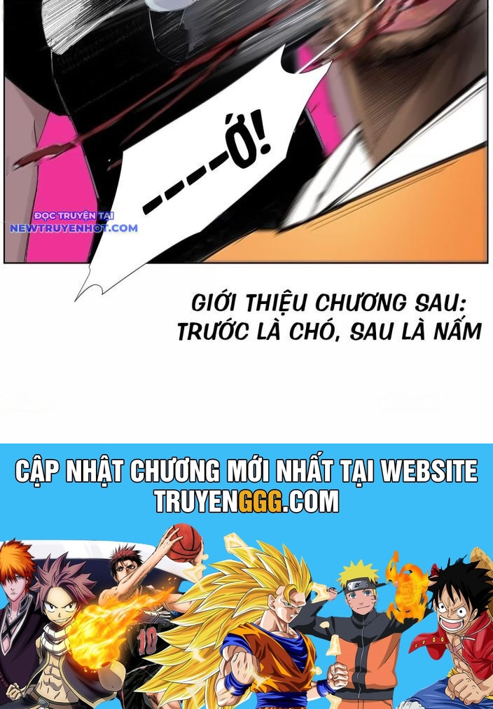 Tiền Liệt Tiên