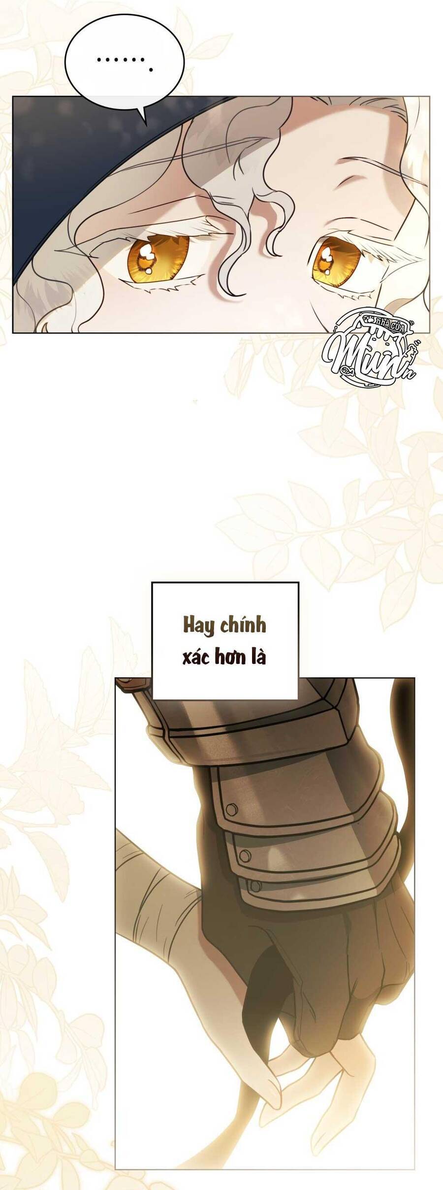 Hôn Nhân Khế Ước