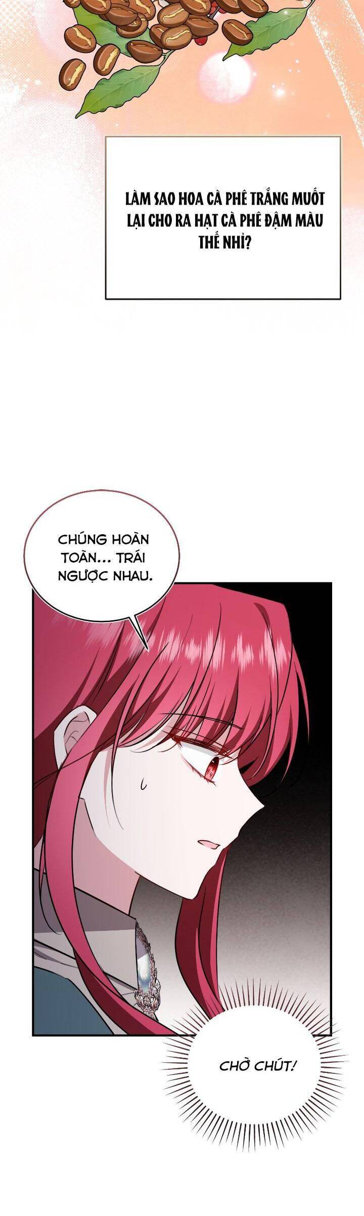 Tôi Sẽ Sống Thử Cuộc Đời Của Ác Nữ - Chương 75 - Trang 27