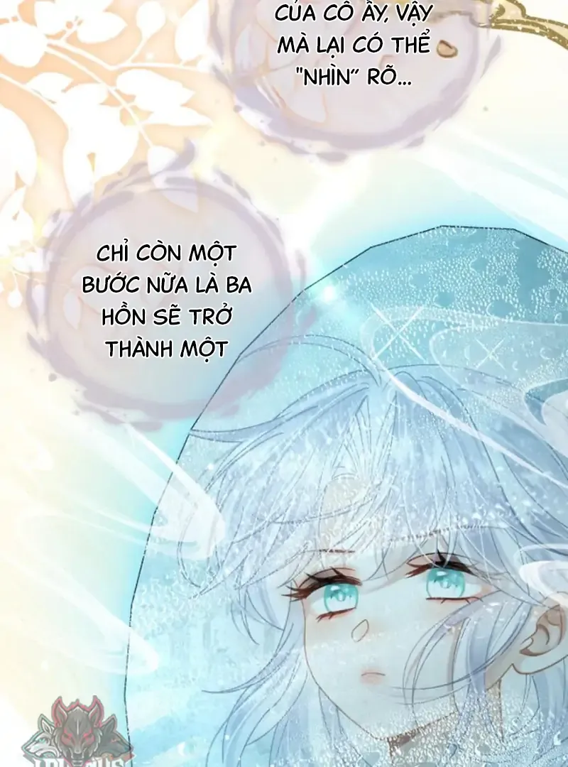 Đến Đông Hải Tìm Mỹ Nhân - Chương 65 - Trang 66