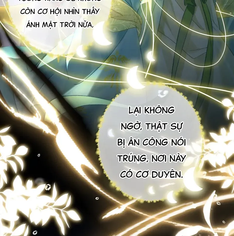 Đến Đông Hải Tìm Mỹ Nhân - Chương 37 - Trang 10