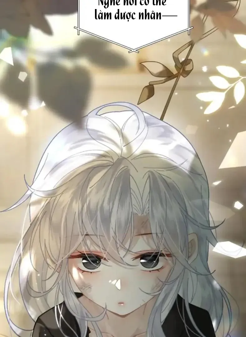 Đến Đông Hải Tìm Mỹ Nhân - Chương 56 - Trang 63