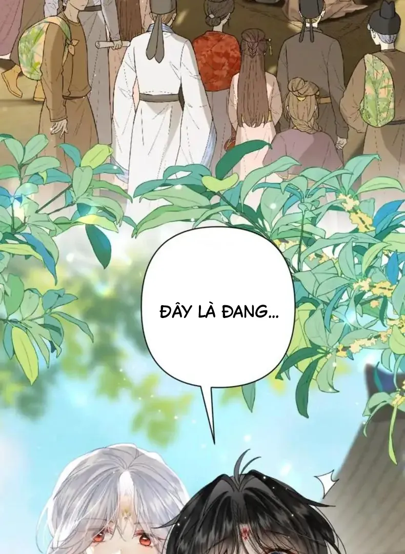 Đến Đông Hải Tìm Mỹ Nhân - Chương 56 - Trang 61