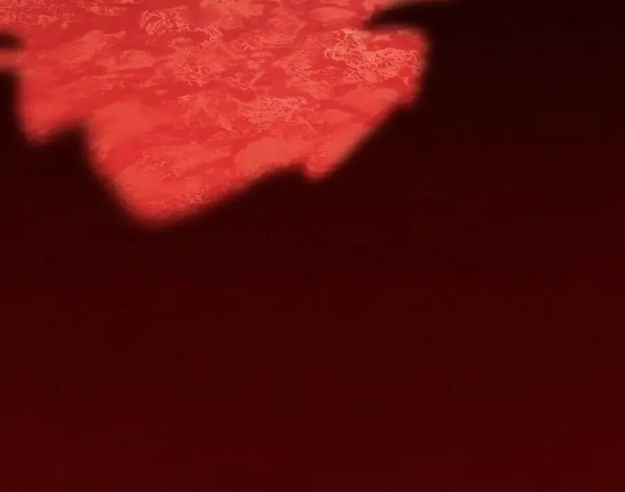 Câu Chuyện Sinh Tồn Của Kiếm Vương Ở Thế Giới Khác - Chương 92 - Trang 200