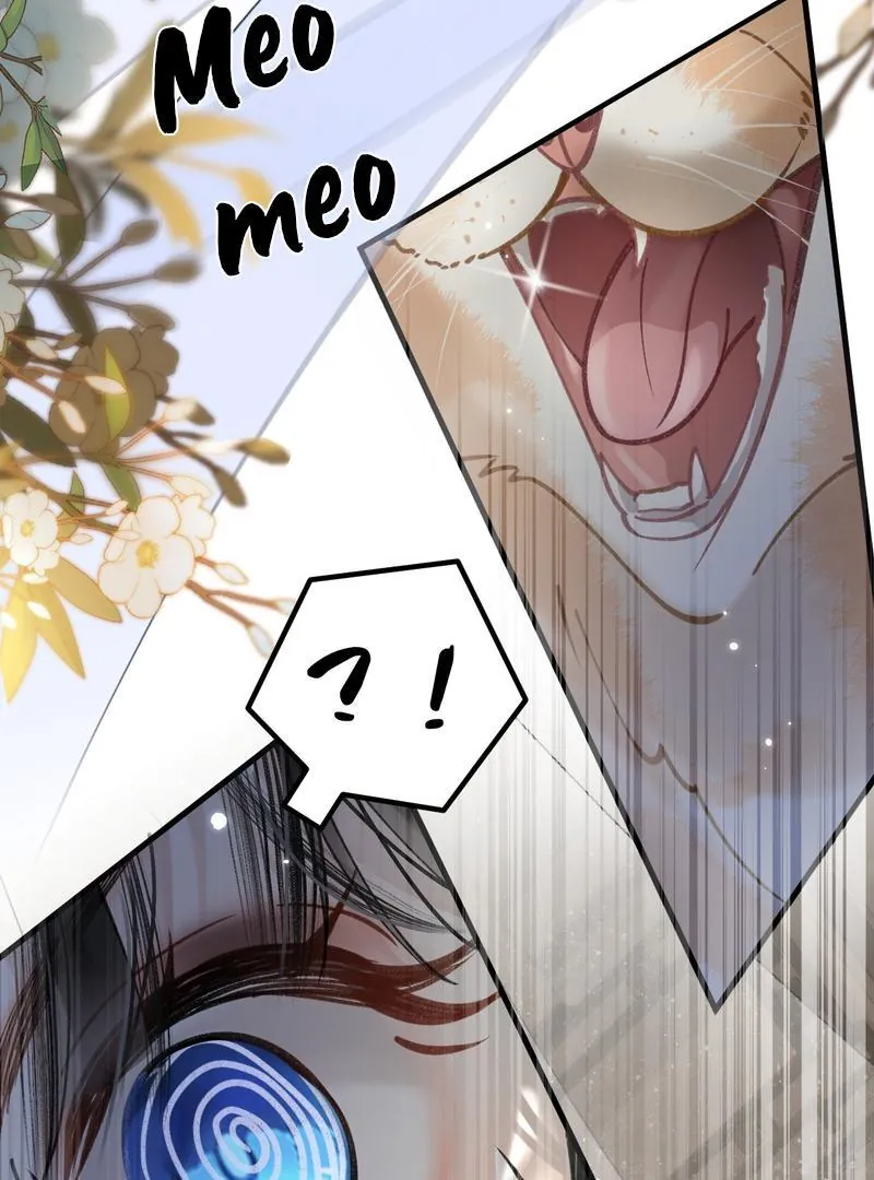 Đến Đông Hải Tìm Mỹ Nhân - Chương 46 - Trang 41