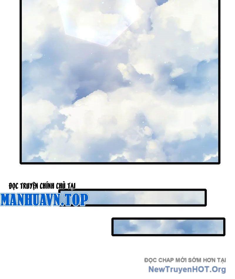 Vô Địch Bị Động Tạo Ra Tấn Sát Thương - Chương 113 - Trang 52