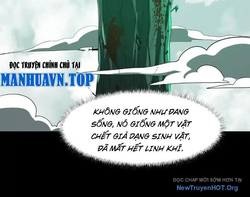 Sau Khi Chia Tay Hoa Khôi, Võ Đạo Của Ta Thẳng Tới Cấp Thần - Chương 13 - Trang 28