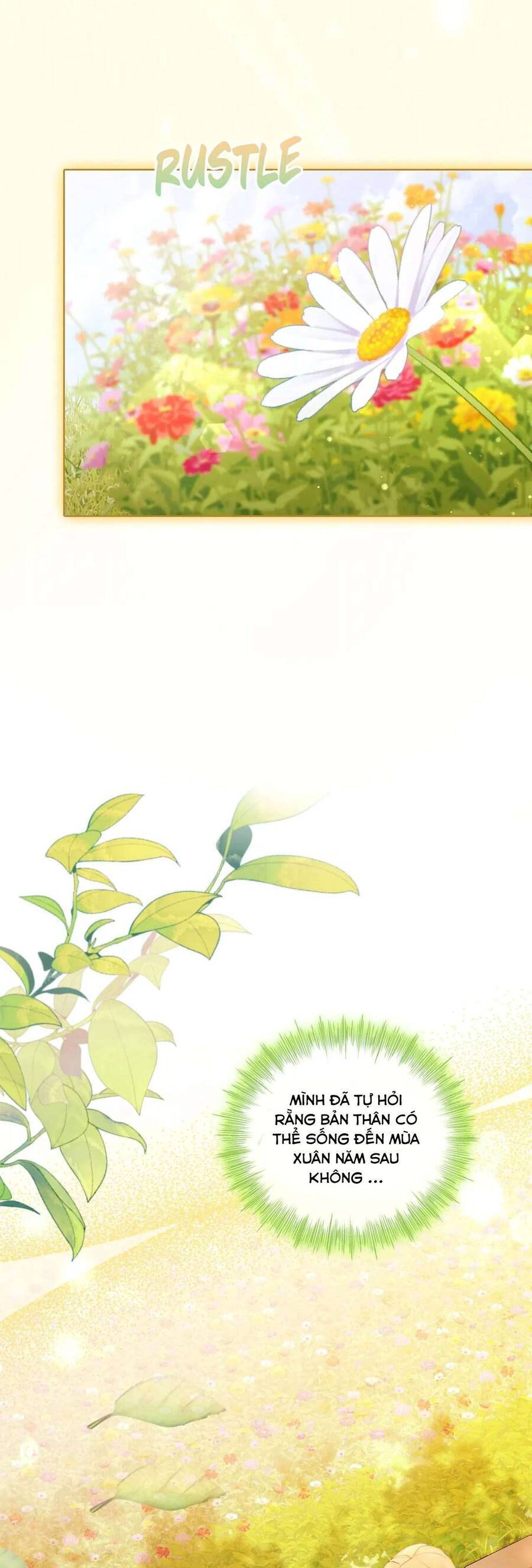 Không Cần Hối Hận - Chương 2 - Trang 38