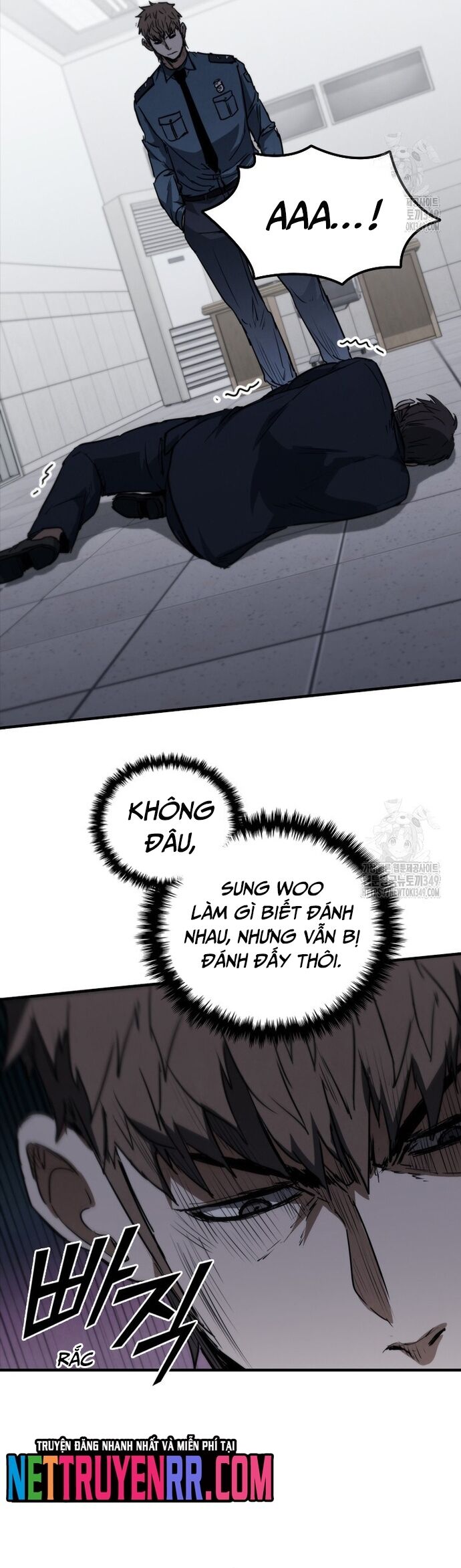 Cá Mập Wyvern