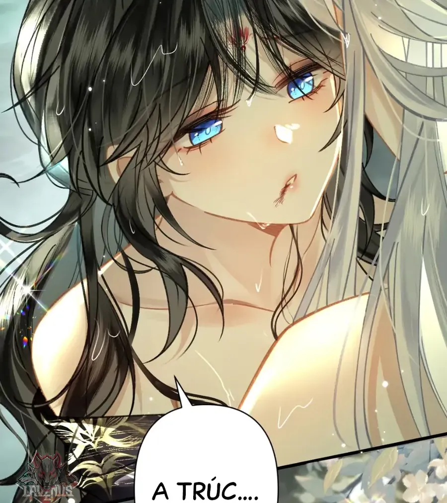 Đến Đông Hải Tìm Mỹ Nhân - Chương 60 - Trang 52