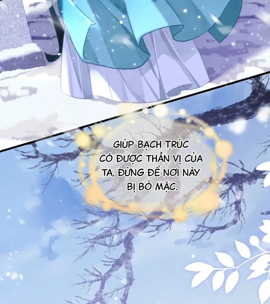 Đến Đông Hải Tìm Mỹ Nhân - Chương 60 - Trang 47