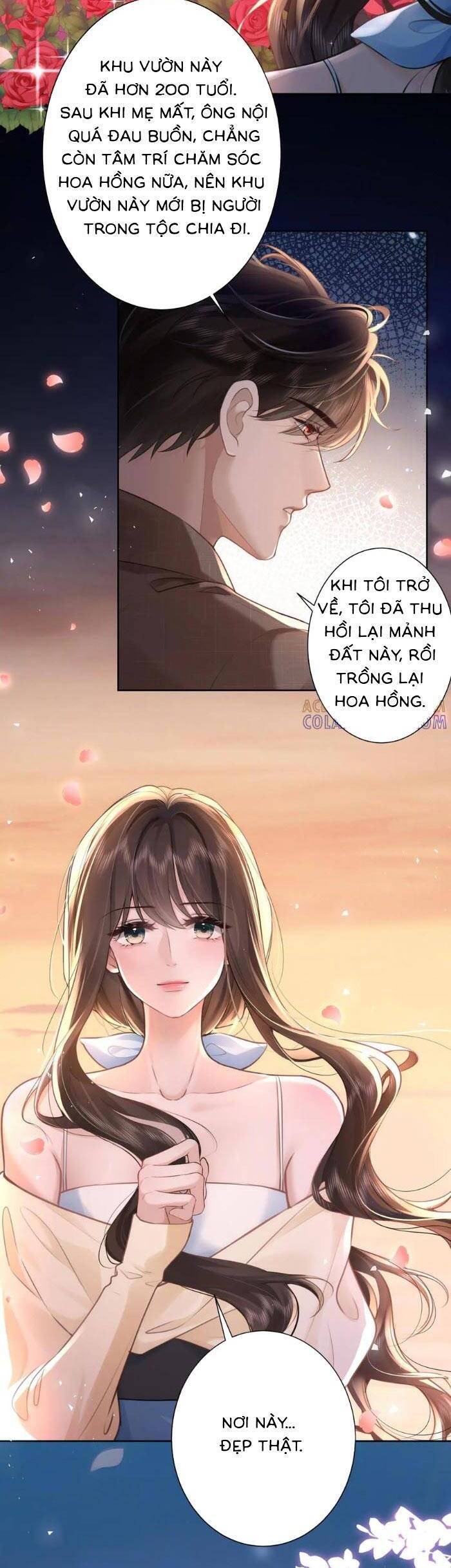 Tổng Tài Cố Chấp, Xin Hãy Buông Tha - Chương 28 - Trang 15