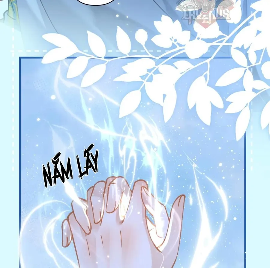 Đến Đông Hải Tìm Mỹ Nhân - Chương 51 - Trang 10