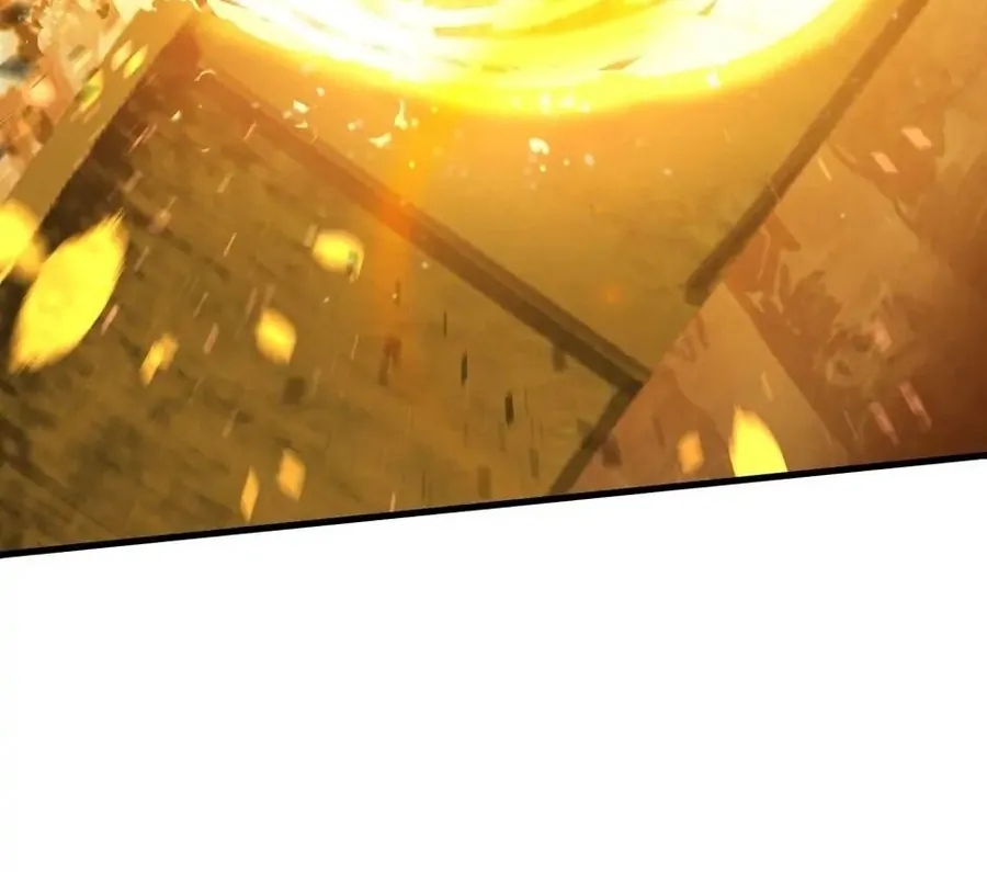 Câu Chuyện Sinh Tồn Của Kiếm Vương Ở Thế Giới Khác - Chương 67 - Trang 267