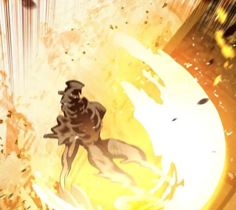 Câu Chuyện Sinh Tồn Của Kiếm Vương Ở Thế Giới Khác - Chương 67 - Trang 266