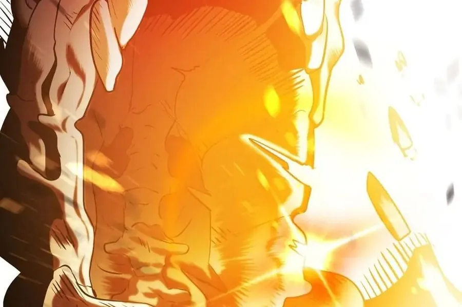 Câu Chuyện Sinh Tồn Của Kiếm Vương Ở Thế Giới Khác - Chương 67 - Trang 269