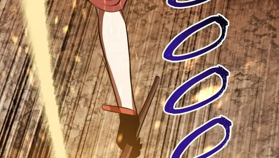 Câu Chuyện Sinh Tồn Của Kiếm Vương Ở Thế Giới Khác - Chương 67 - Trang 255