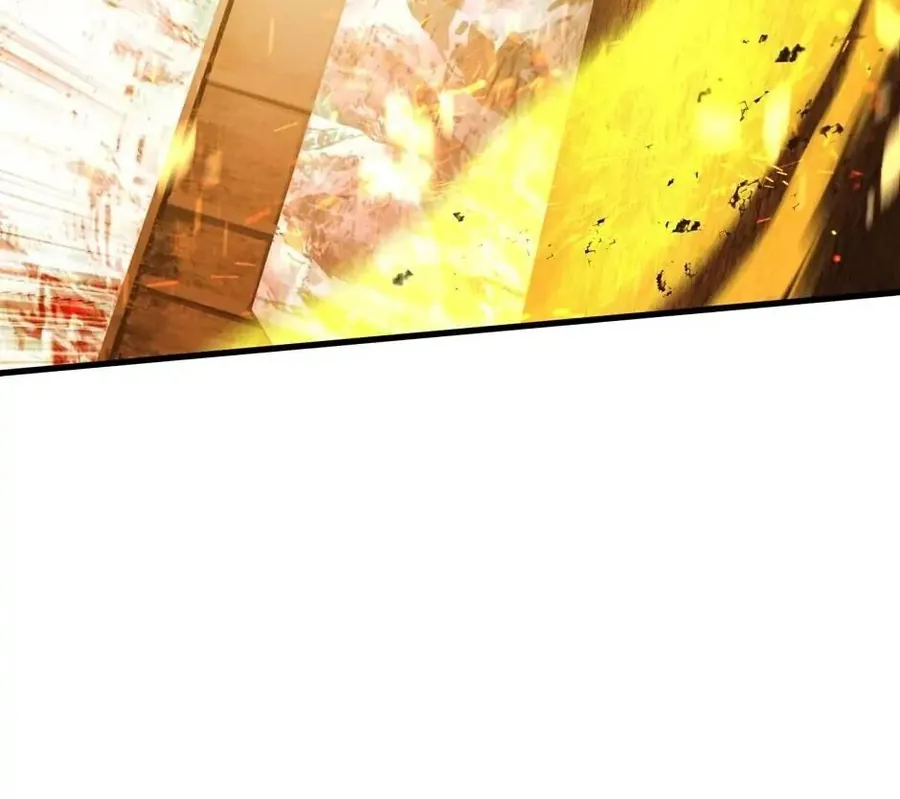 Câu Chuyện Sinh Tồn Của Kiếm Vương Ở Thế Giới Khác - Chương 67 - Trang 264