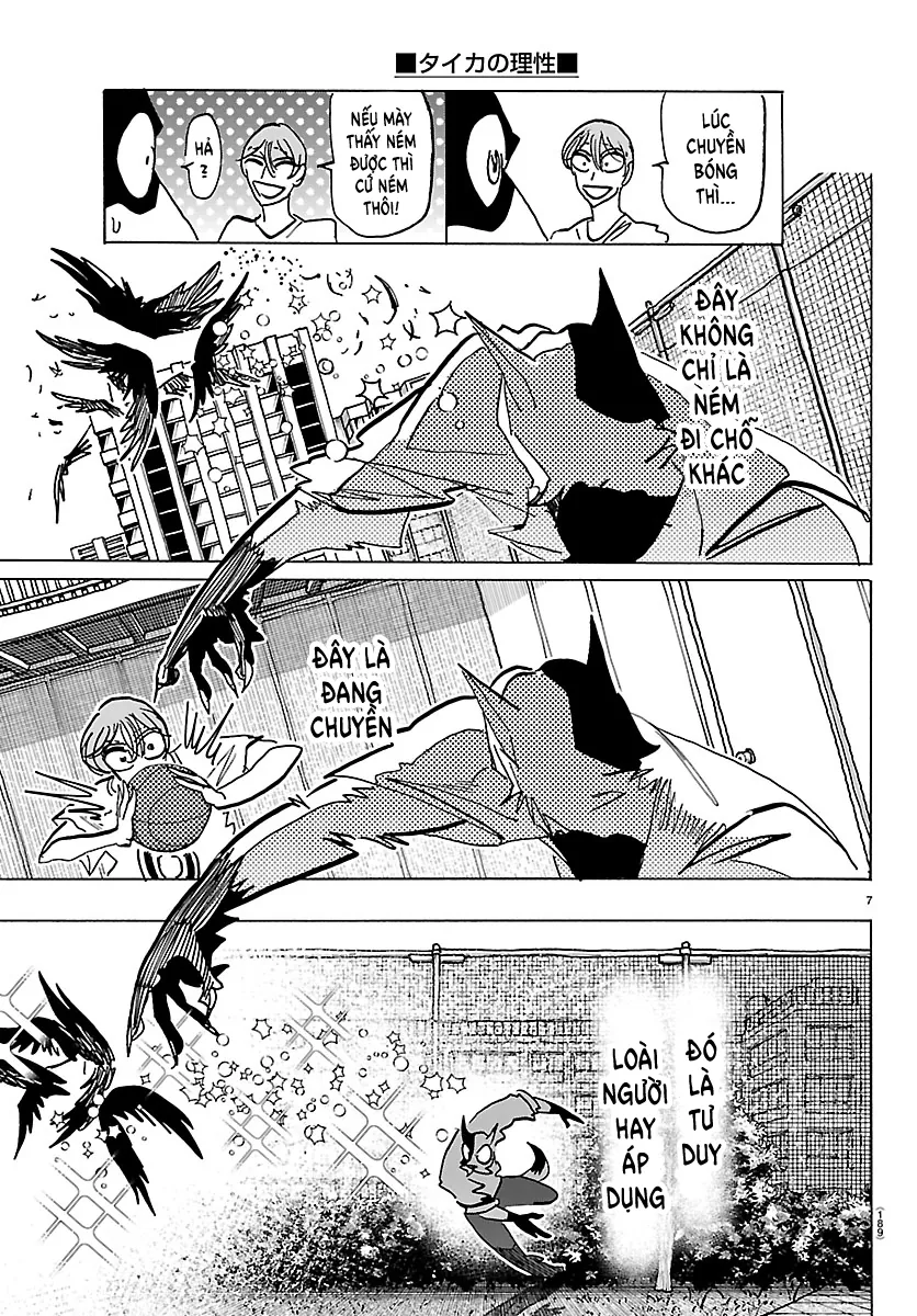 Lý Trí Của Taika - Chương 40 - Trang 6