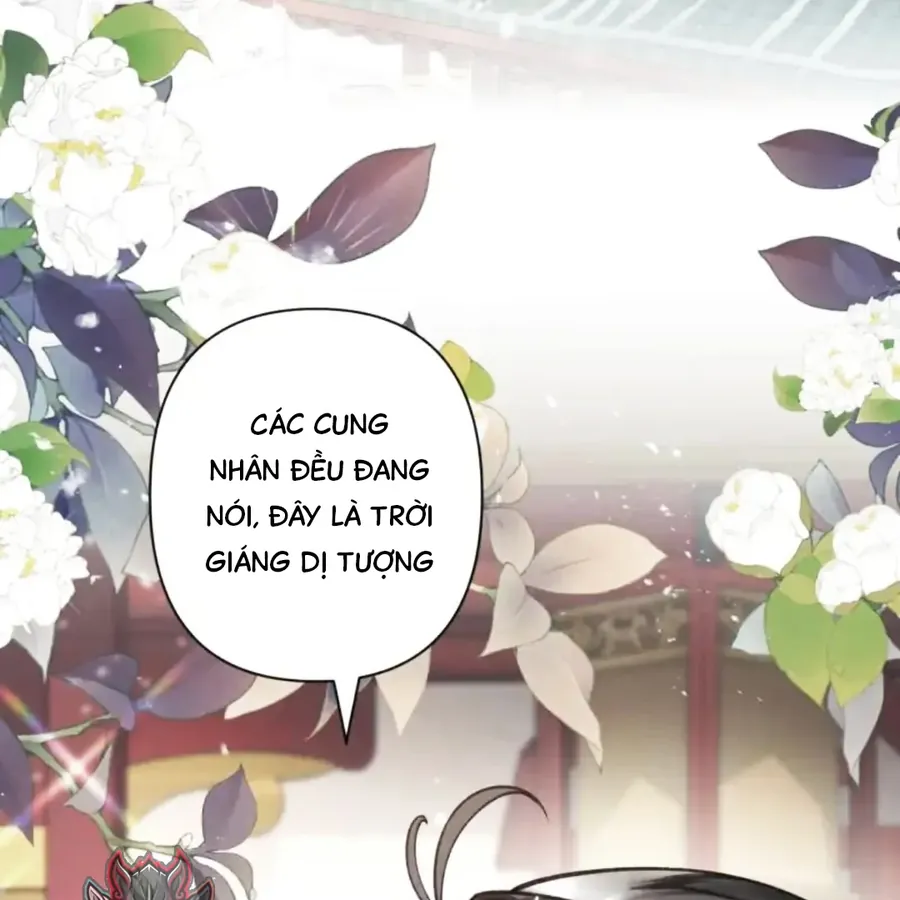 Đến Đông Hải Tìm Mỹ Nhân - Chương 63 - Trang 24