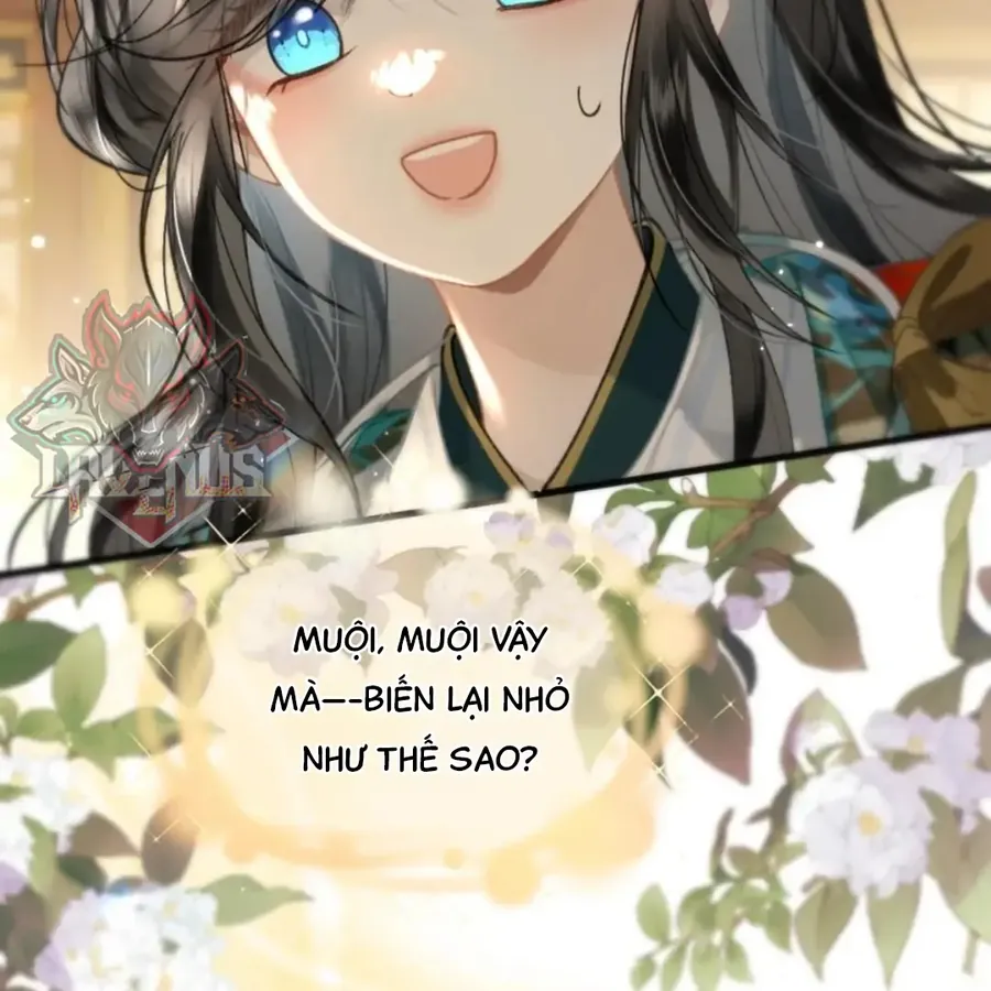 Đến Đông Hải Tìm Mỹ Nhân - Chương 69 - Trang 19