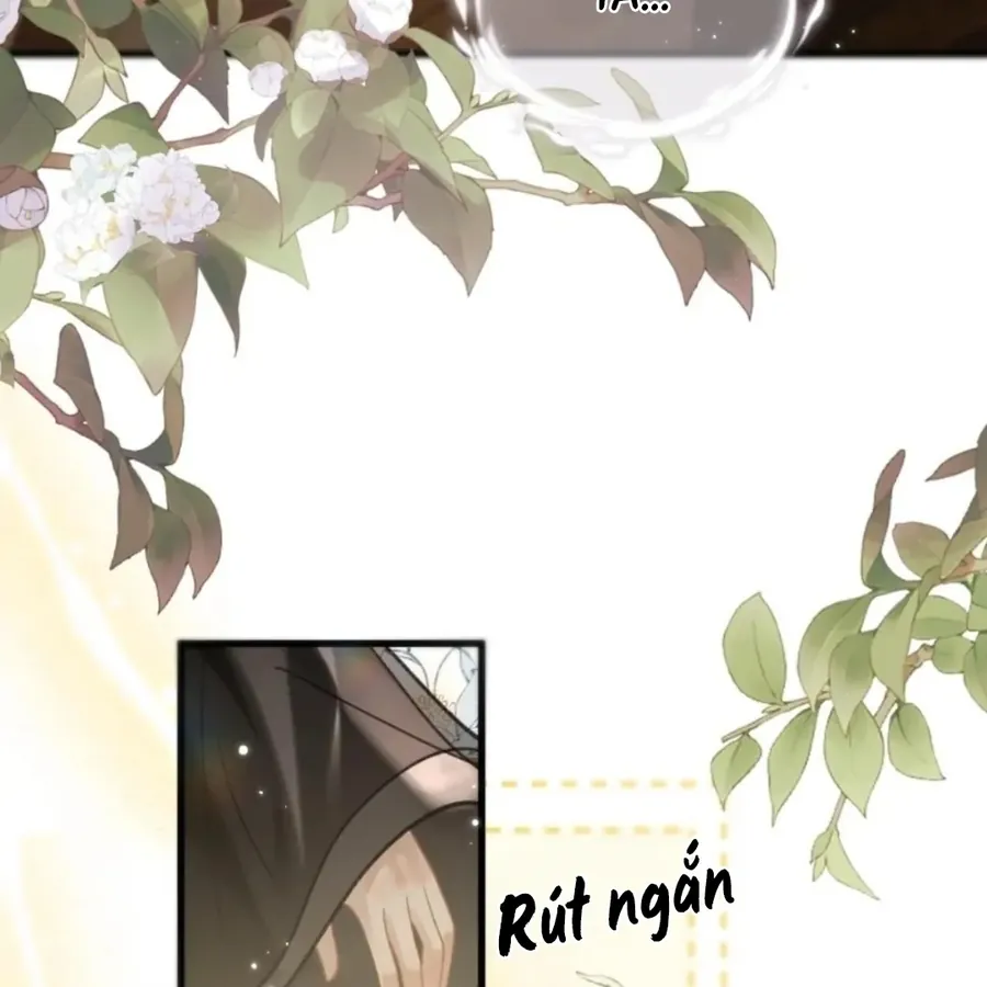 Đến Đông Hải Tìm Mỹ Nhân - Chương 69 - Trang 16