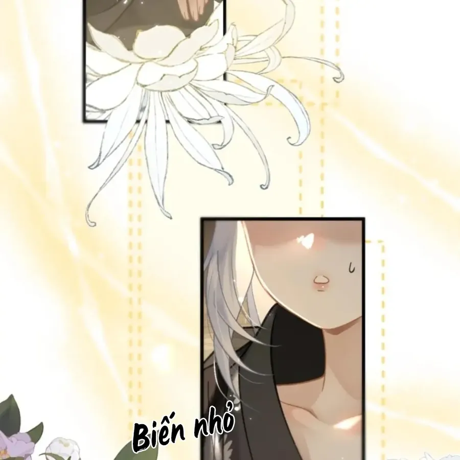 Đến Đông Hải Tìm Mỹ Nhân - Chương 69 - Trang 17