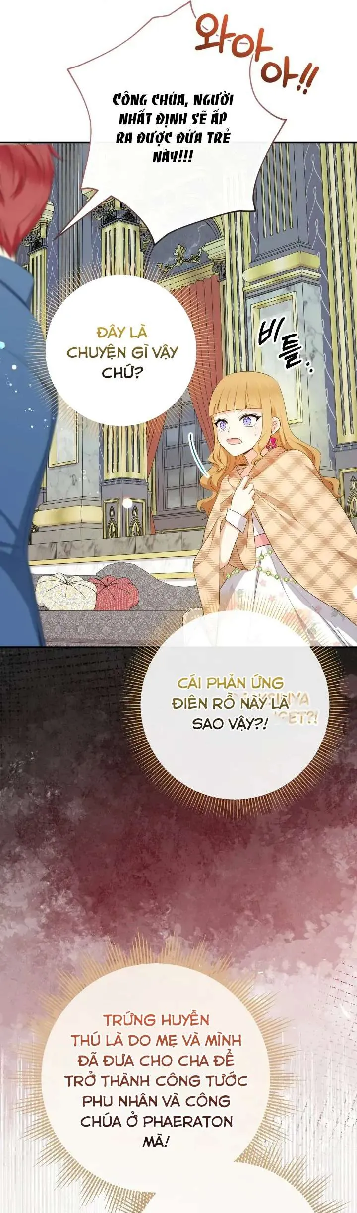 [Pnt] Tiểu Thư Tích Tiền Đi Bụi - Chương 75 - Trang 17