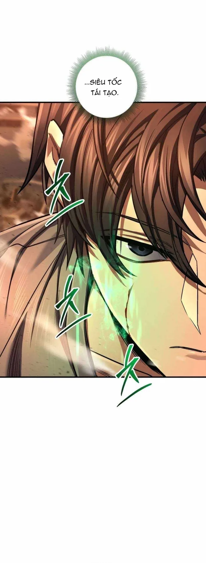Tôi Là Thợ Săn Cấp Ex - Chương 69 - Trang 13