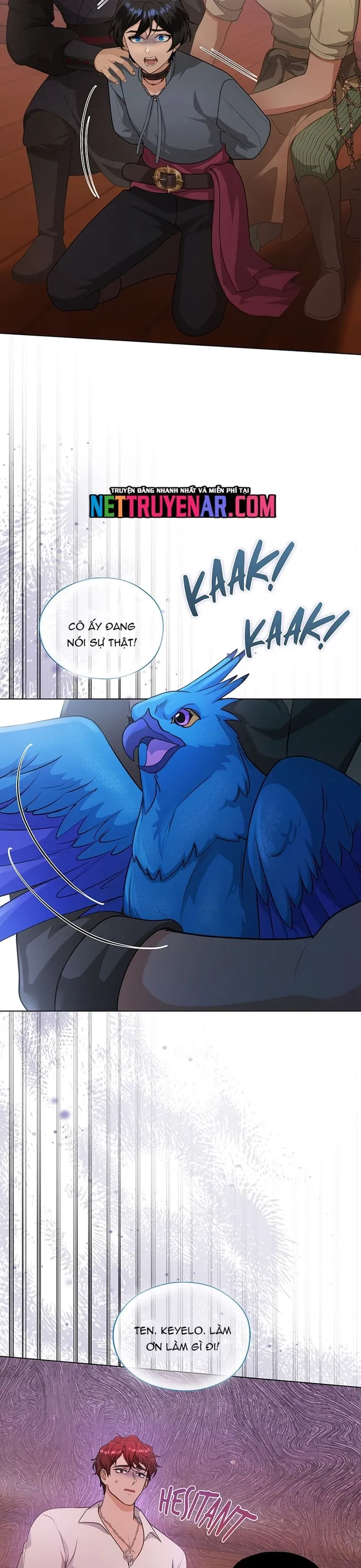 Hải Âu & Sói Hoang - Chương 57 - Trang 5