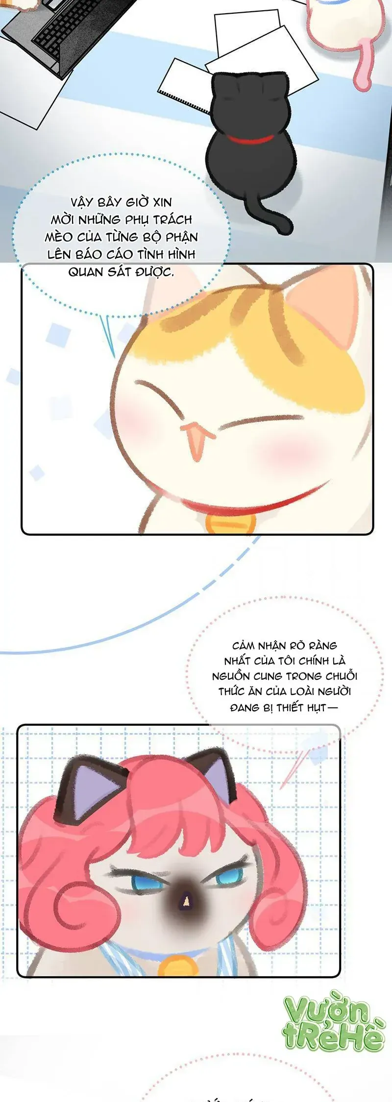 Lục Lạc Mèo - Chương 20 - Trang 4