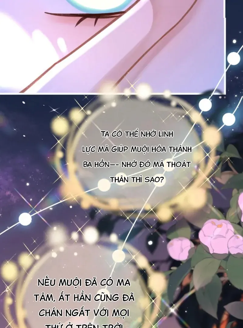 Đến Đông Hải Tìm Mỹ Nhân - Chương 66 - Trang 60