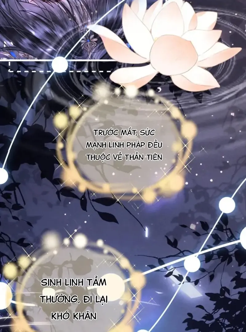 Đến Đông Hải Tìm Mỹ Nhân - Chương 66 - Trang 45