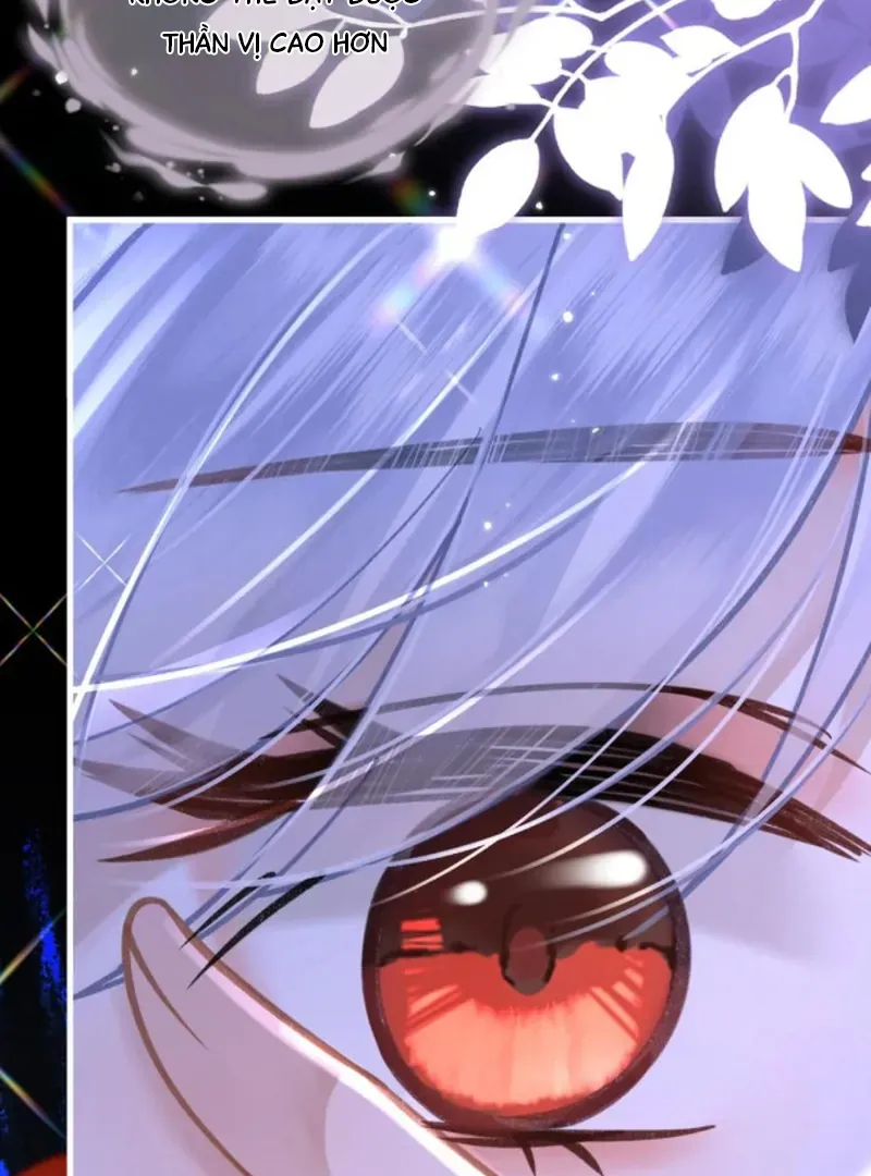 Đến Đông Hải Tìm Mỹ Nhân - Chương 66 - Trang 66