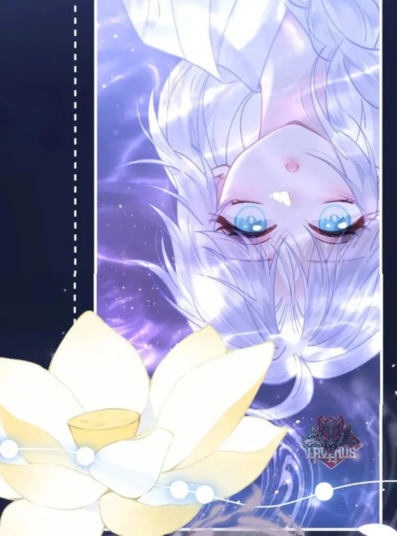 Đến Đông Hải Tìm Mỹ Nhân - Chương 66 - Trang 50