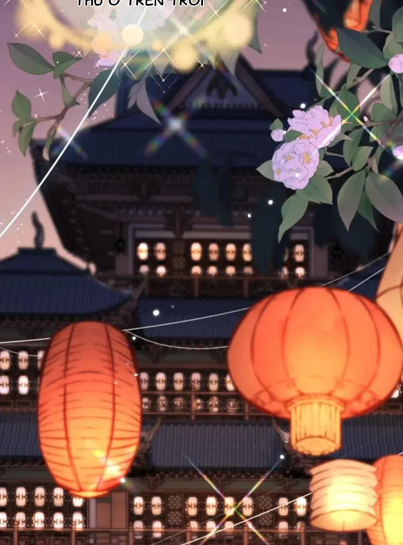 Đến Đông Hải Tìm Mỹ Nhân - Chương 66 - Trang 61