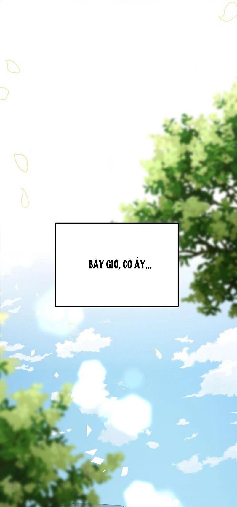 Thử Vai Cinderella